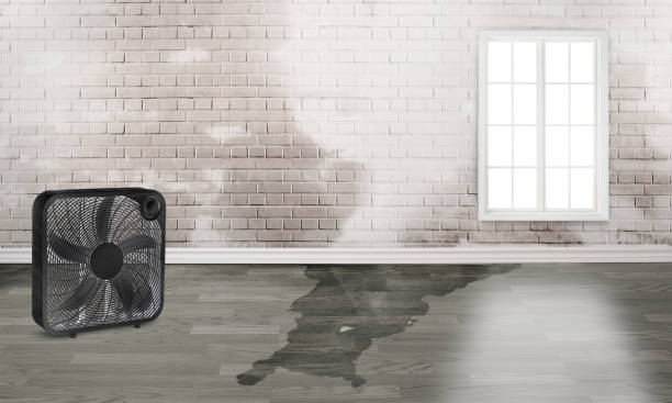 Trusted Mount Angel, OR Water damage restoration Experts