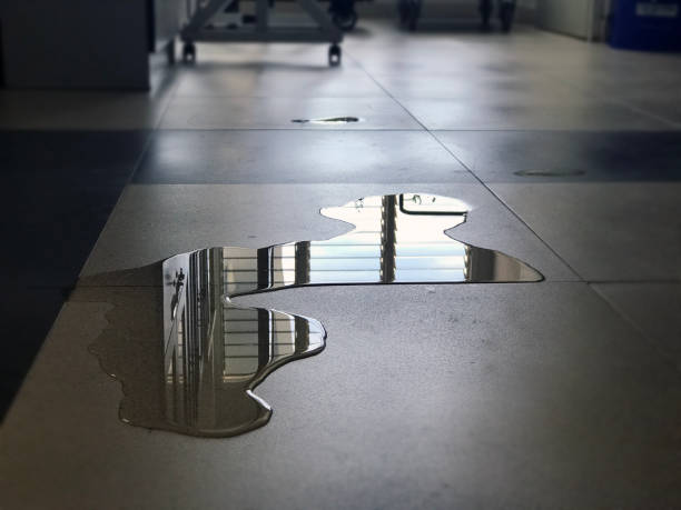  Mount Angel, OR Water damage restoration Pros