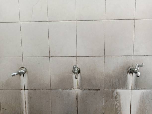 Best Local water damage restoration  in Mount Angel, OR