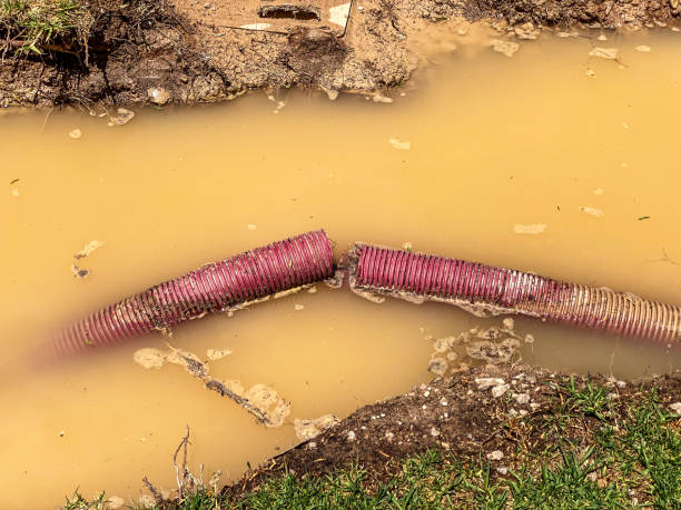 Best Basement water damage restoration  in Mount Angel, OR